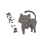 猫のリビ（個別スタンプ：40）