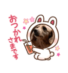 今日もマイペーススミレちゃんスタンプ（個別スタンプ：3）