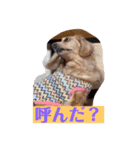 今日もマイペーススミレちゃんスタンプ（個別スタンプ：10）
