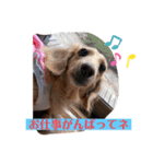 今日もマイペーススミレちゃんスタンプ（個別スタンプ：15）