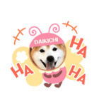 柴犬大福スタンプ2020.9（個別スタンプ：4）
