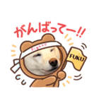 柴犬大福スタンプ2020.9（個別スタンプ：5）