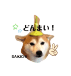 柴犬大福スタンプ2020.9（個別スタンプ：7）