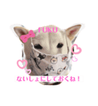 柴犬大福スタンプ2020.9（個別スタンプ：8）