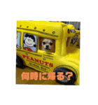 天心スタンプ4（個別スタンプ：6）