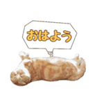 ももなつまみ（個別スタンプ：1）