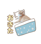 ももなつまみ（個別スタンプ：2）