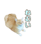 ももなつまみ（個別スタンプ：3）