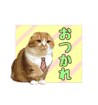 ももなつまみ（個別スタンプ：5）