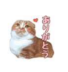 ももなつまみ（個別スタンプ：7）
