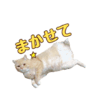 ももなつまみ（個別スタンプ：9）