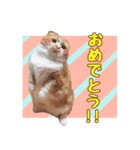 ももなつまみ（個別スタンプ：11）