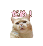 ももなつまみ（個別スタンプ：13）