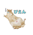 ももなつまみ（個別スタンプ：17）