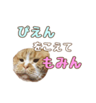 ももなつまみ（個別スタンプ：18）