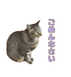 ももなつまみ（個別スタンプ：19）