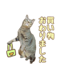 ももなつまみ（個別スタンプ：22）