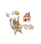 ももなつまみ（個別スタンプ：24）