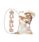 ももなつまみ（個別スタンプ：26）