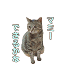 ももなつまみ（個別スタンプ：30）