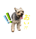わるがきソラとなかまたち2（個別スタンプ：1）