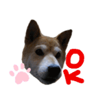 わるがきソラとなかまたち2（個別スタンプ：6）