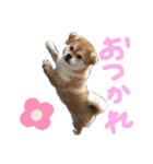 わるがきソラとなかまたち2（個別スタンプ：9）