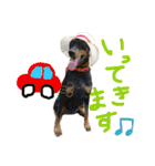 わるがきソラとなかまたち2（個別スタンプ：13）