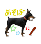 わるがきソラとなかまたち2（個別スタンプ：17）