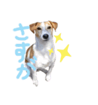 わるがきソラとなかまたち2（個別スタンプ：25）