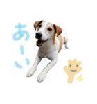 わるがきソラとなかまたち2（個別スタンプ：26）