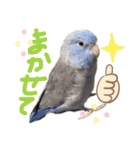 わるがきソラとなかまたち2（個別スタンプ：28）