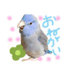 わるがきソラとなかまたち2（個別スタンプ：29）