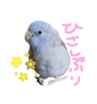わるがきソラとなかまたち2（個別スタンプ：31）