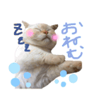 わるがきソラとなかまたち2（個別スタンプ：36）