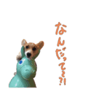 今日のココちゃん 1（個別スタンプ：7）