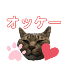 いくらちゃん3（個別スタンプ：8）
