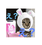 いくらちゃん3（個別スタンプ：9）