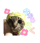 いくらちゃん3（個別スタンプ：12）