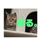 いくらちゃん3（個別スタンプ：14）