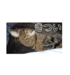 いくらちゃん3（個別スタンプ：22）