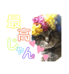 いくらちゃん3（個別スタンプ：23）