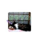りっちゃんママとリック（個別スタンプ：1）