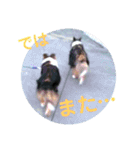 りっちゃんママとリック（個別スタンプ：3）