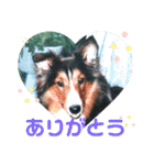 りっちゃんママとリック（個別スタンプ：5）