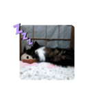 りっちゃんママとリック（個別スタンプ：19）