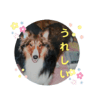 りっちゃんママとリック（個別スタンプ：28）