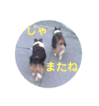 りっちゃんママとリック（個別スタンプ：29）
