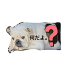 うちの豚くん（個別スタンプ：1）