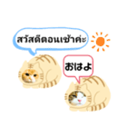 タイ語×日本語 毎日つかえる挨拶スタンプ（個別スタンプ：1）